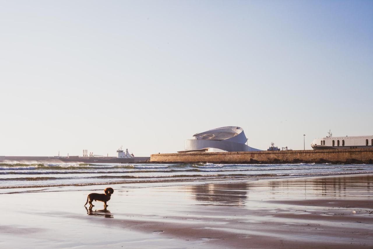 Oceanside Matosinhos - Ecohost Apartment Bagian luar foto